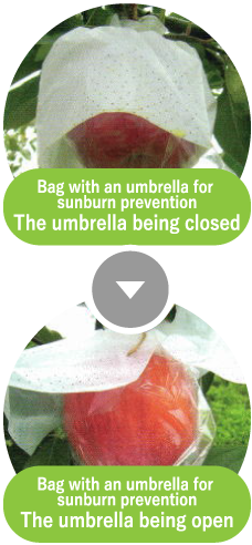 Bag with an umbrella for sunburn prevention The umbrella being closed. Bag with an umbrella for sunburn prevention The umbrella being open.